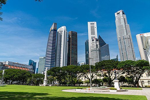 soi cau misa