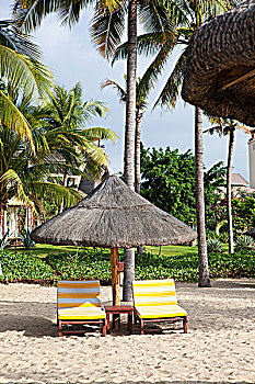 dự đoán xỉu chủ