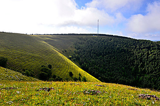 cau lo sieu chuan