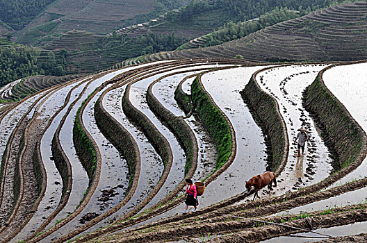 soi cau du doan xsmb