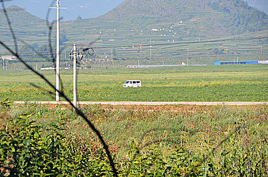 so xo miền bắc hôm nay