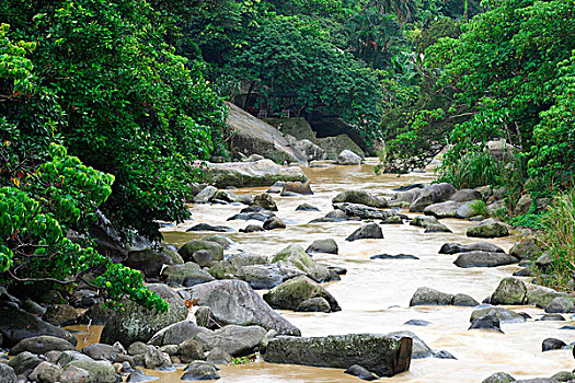 xổ số đồng