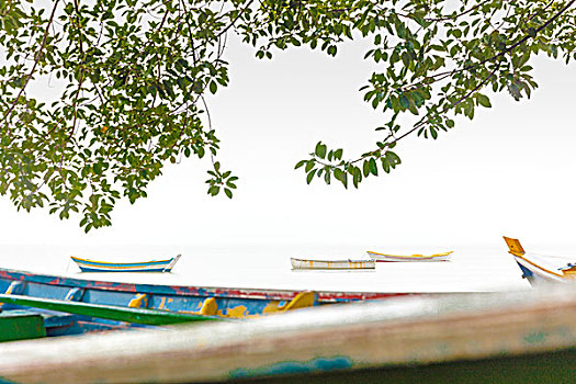 xs mình ngoc