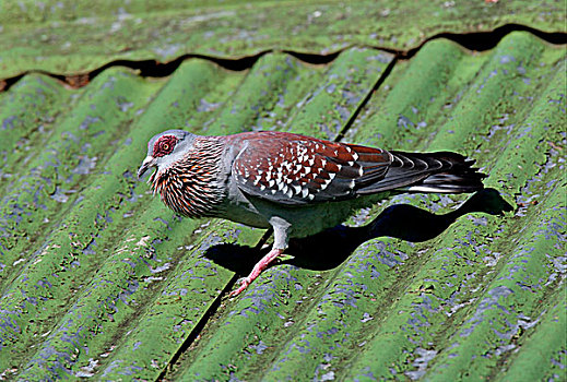 du doan xs 24