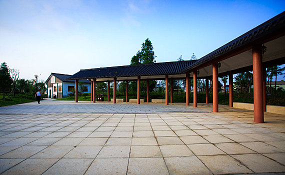 soi cau chinh xac