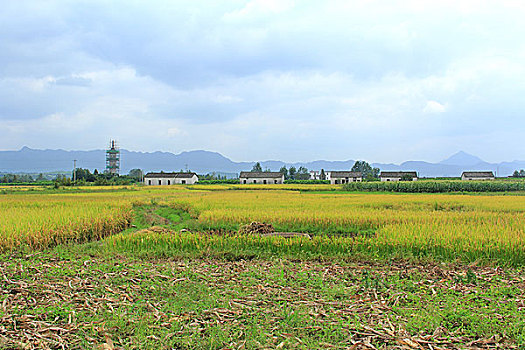 cầu lô tô miền bắc