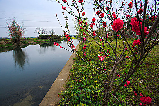 36 cách tính lô đề