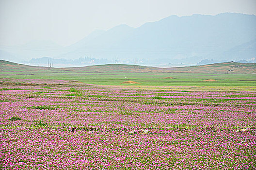 du doan xs du doan trung thuong