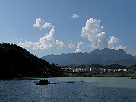 bạch thủ đề miền bắc