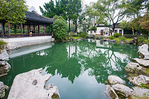 soi cau rong bach kim vip