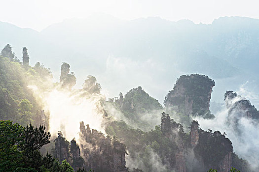 sô kêt qua