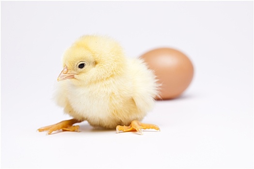 xổ số kiến thiết quảng trị