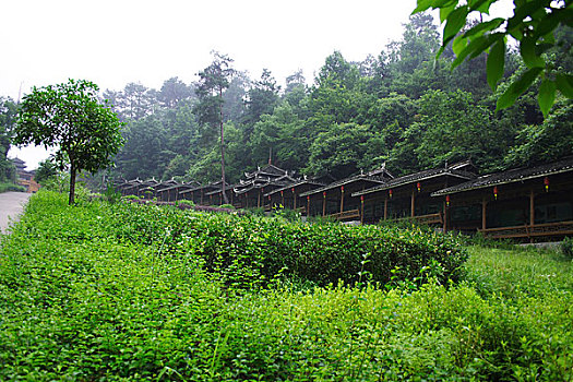 xs quang ngai hom nay