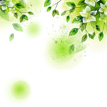 xổ số miền bắc trong ngày