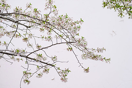 kết qua xo so mb