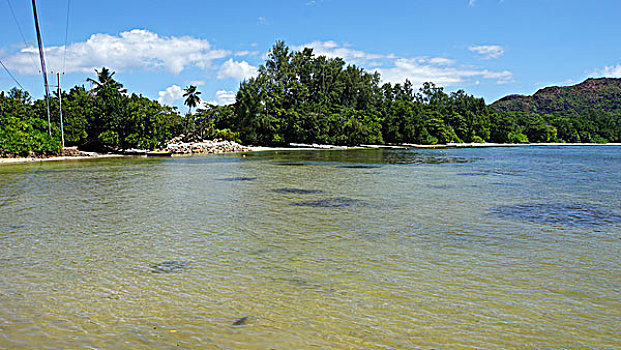 xô số mình ngoc