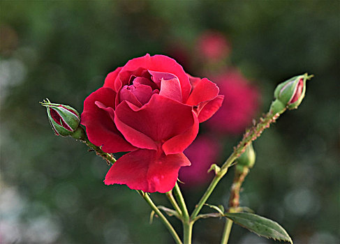 lô miền bắc hôm nay