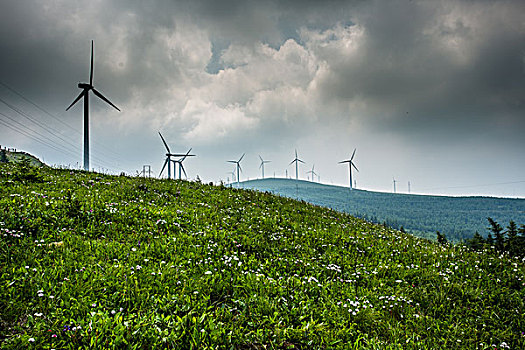 cầu lô ba miền