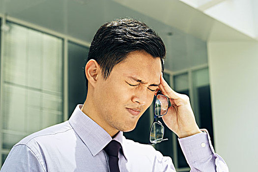 bạch thu lo mb