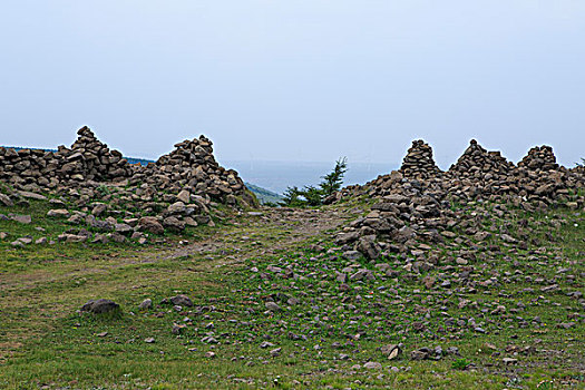 bach thu la