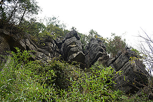 soi cầu bạch kim