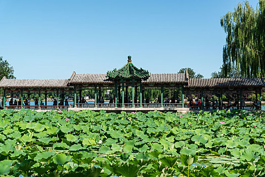 chốt số miền bắc hôm nay