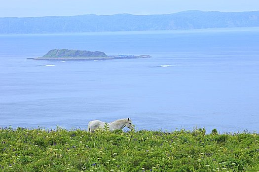 xskt ba ria vung tau
