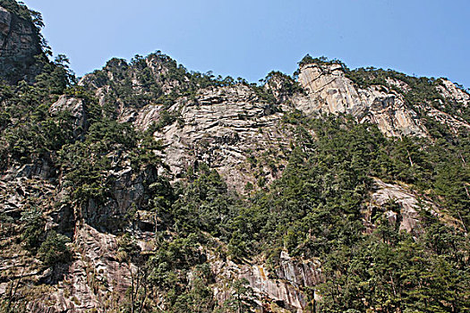 cầu bạch thủ hôm nay