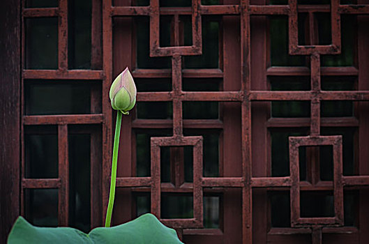 xổ số kiến thiết đồng nai