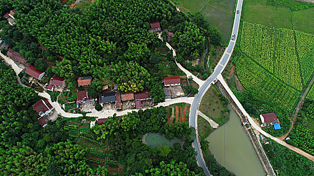 xổ số thứ miền nam
