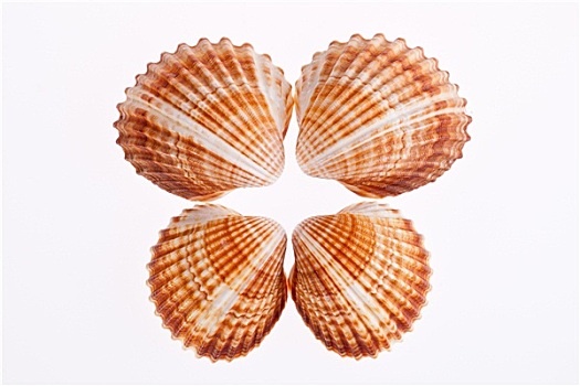 ketquaveso