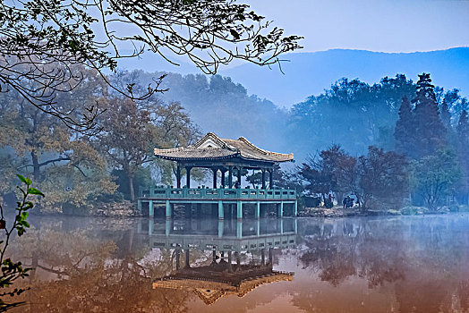 bach kim rong