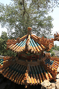 soi cau an thong