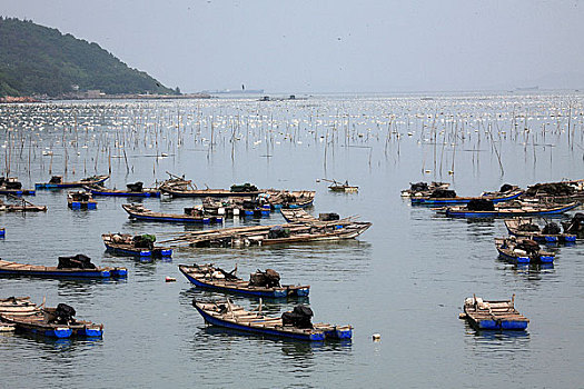 lô tô miền bắc hôm nay