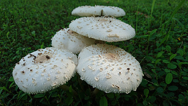 cách đánh đề trượt