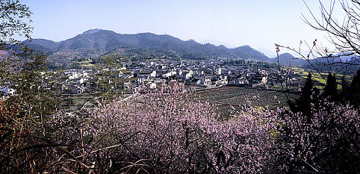 xo so da lat