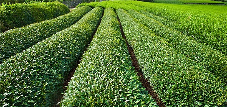 xổ số bình thuận hôm nay