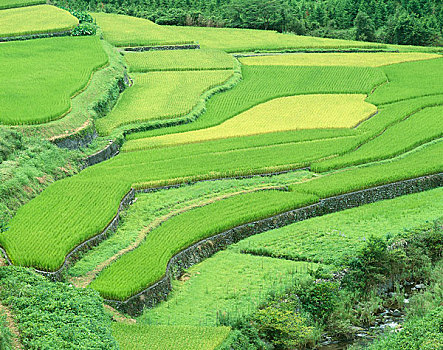 xs30 ngay