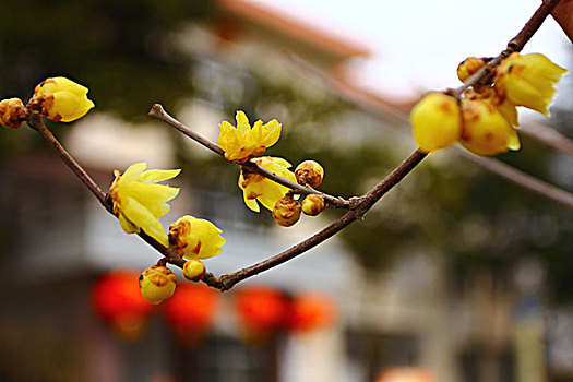 tham khảo xổ số miền bắc