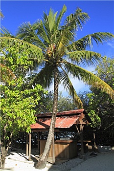 trực tiếp xổ số miền