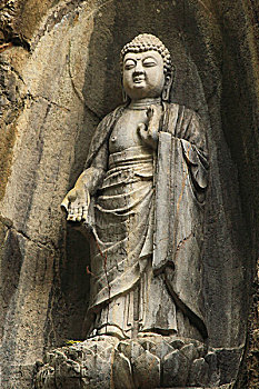 soi cau lo bach thu 8785
