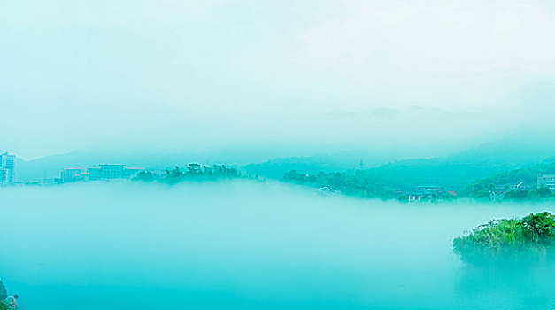soi cau rong bạch kim