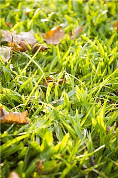 dự đoán xổ số ninh thuận