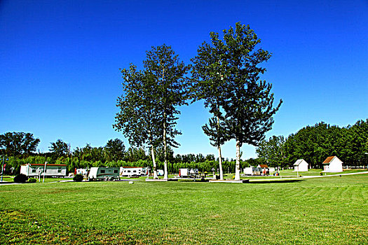 soi câu 247