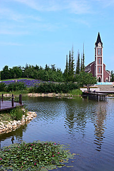 soi cau chinh xac