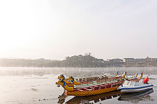 bạch thủ lô miền bắc