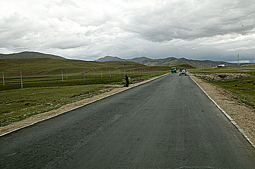 soi câu bạch kim