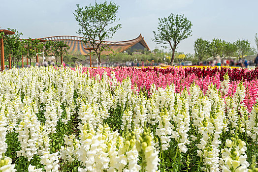 xổ số lô đề miền bắc