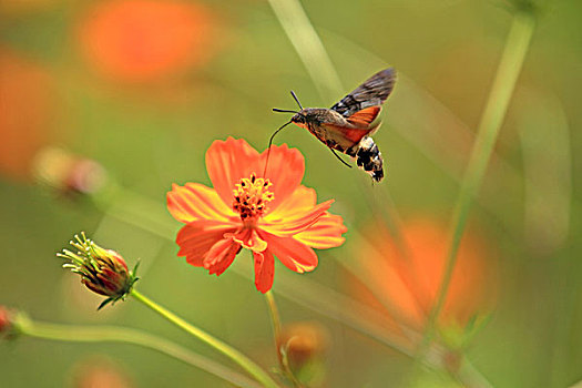 đánh đề trên win2888