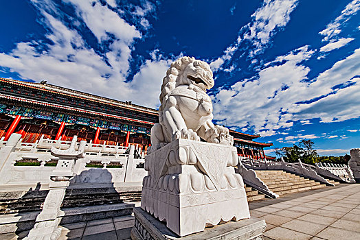 rong vang bach kim